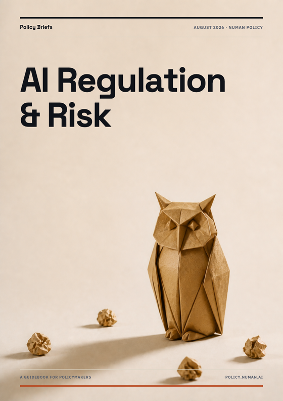 Cover of AI Regulation & Risk